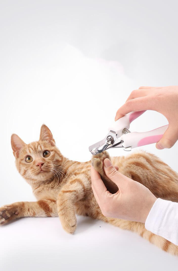 GobiPet™ - Nagelknipser für Hund und Katze aus Edelstahl - GobiPet