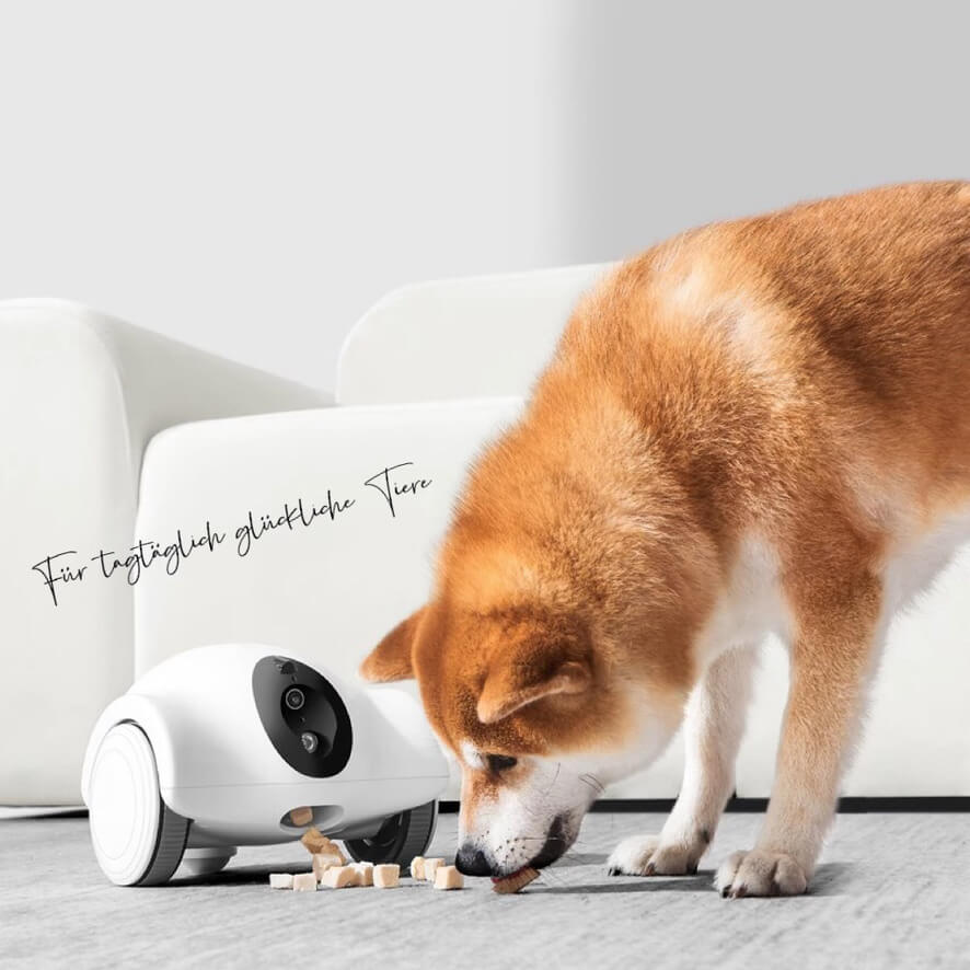 GobiPet™ - GULIGULI Haustier Begleiter Roboter mit beweglicher Überwachungskamera - GobiPet