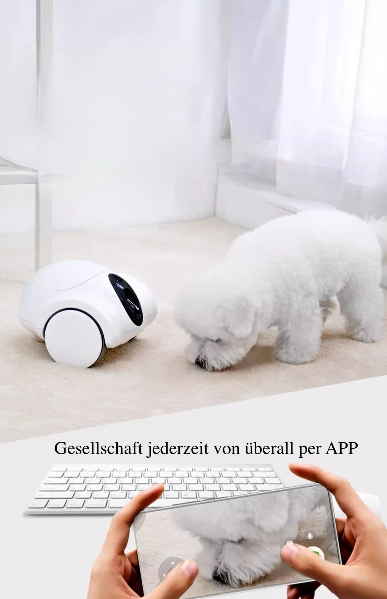 GobiPet™ - GULIGULI Haustier Begleiter Roboter mit beweglicher Überwachungskamera - GobiPet