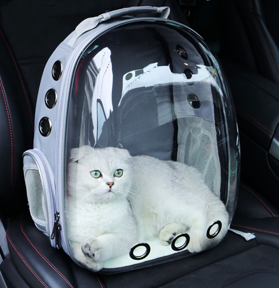 GobiPet™ - Tragbarer Haustier-Rucksack für Katzen und kleine Hunde - GobiPet